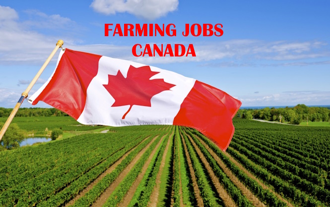 Farming Jobs in Canada